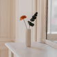 vase Colosse